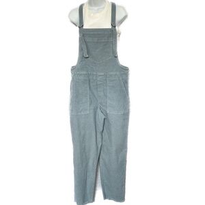 Aerie Overalls Werk and Play Medium Blue Corduroy Stretch Raw Hem Hipster Size M